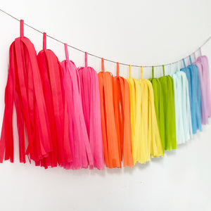 Crayon Rainbow Tassel Garland