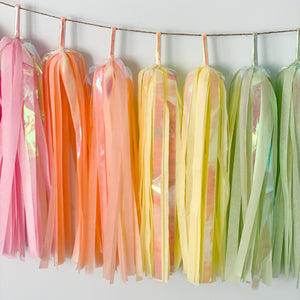 Iridescent Pastel Rainbow Tassel Garland - Rainbow Birthday Party Decorations