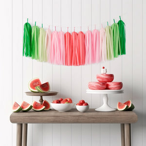 Watermelon Ombre Tassel Garland