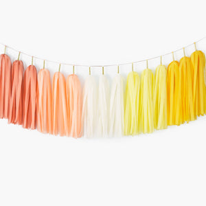 Boho Sunshine Tassel Garland - Bohemian Sun Birthday Party Decoration, Boho Sun Nursery Decor, Boho Baby Shower