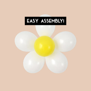 Daisy Balloon Kit