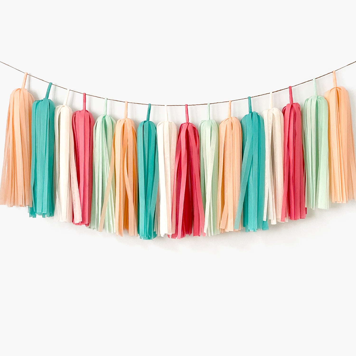 Spring Garden Tassel Garland - Coral Peach Turquoise Baby Girl Nursery Wall Hanging Decoration - Girl Birthday Party Backdrop - Girls Bedroom
