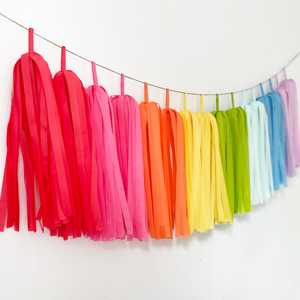 Crayon Rainbow Tassel Garland