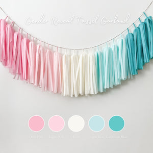 Gender Reveal Tassel Garland - Gender Reveal Party Decorations