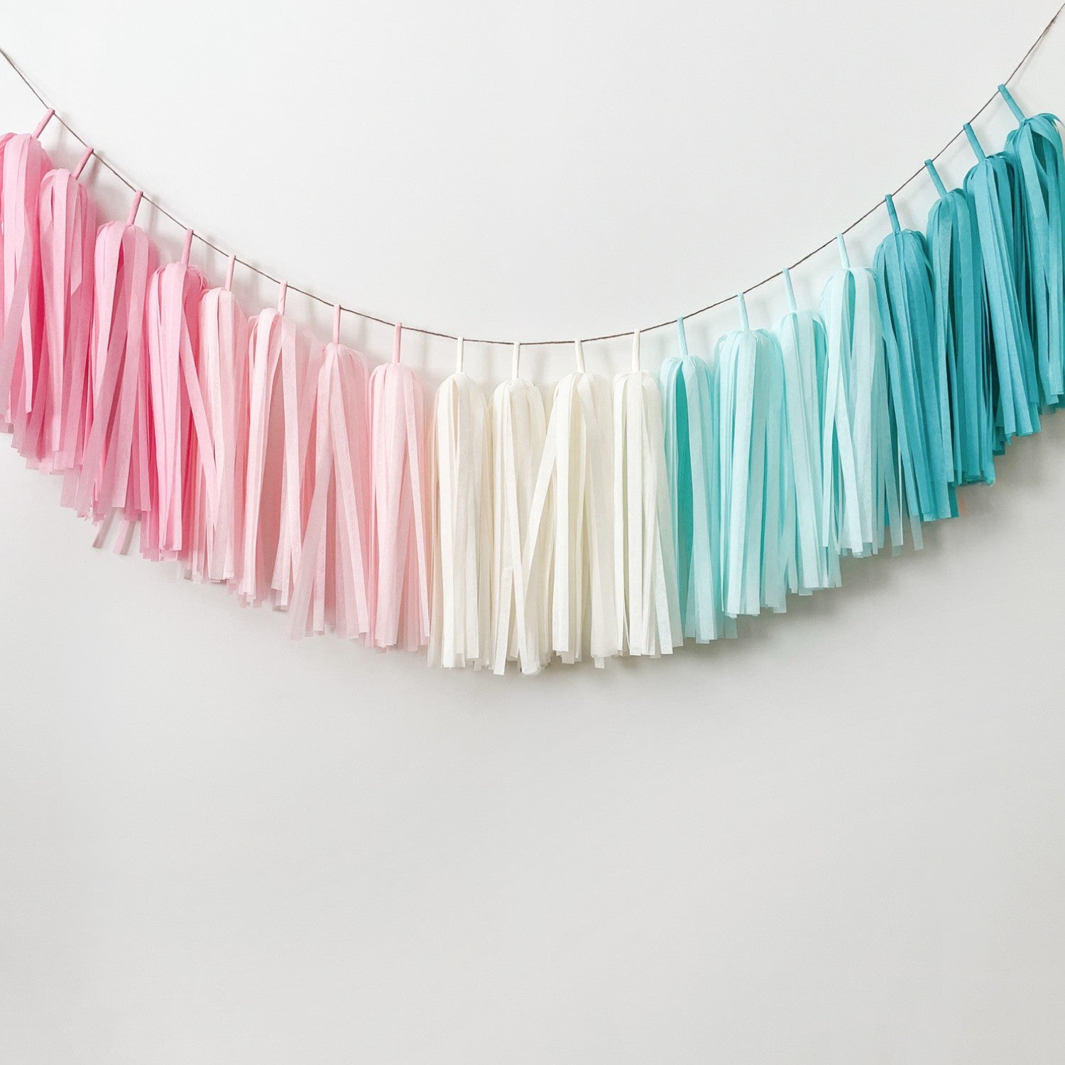 Gender Reveal Tassel Garland - Gender Reveal Party Decorations