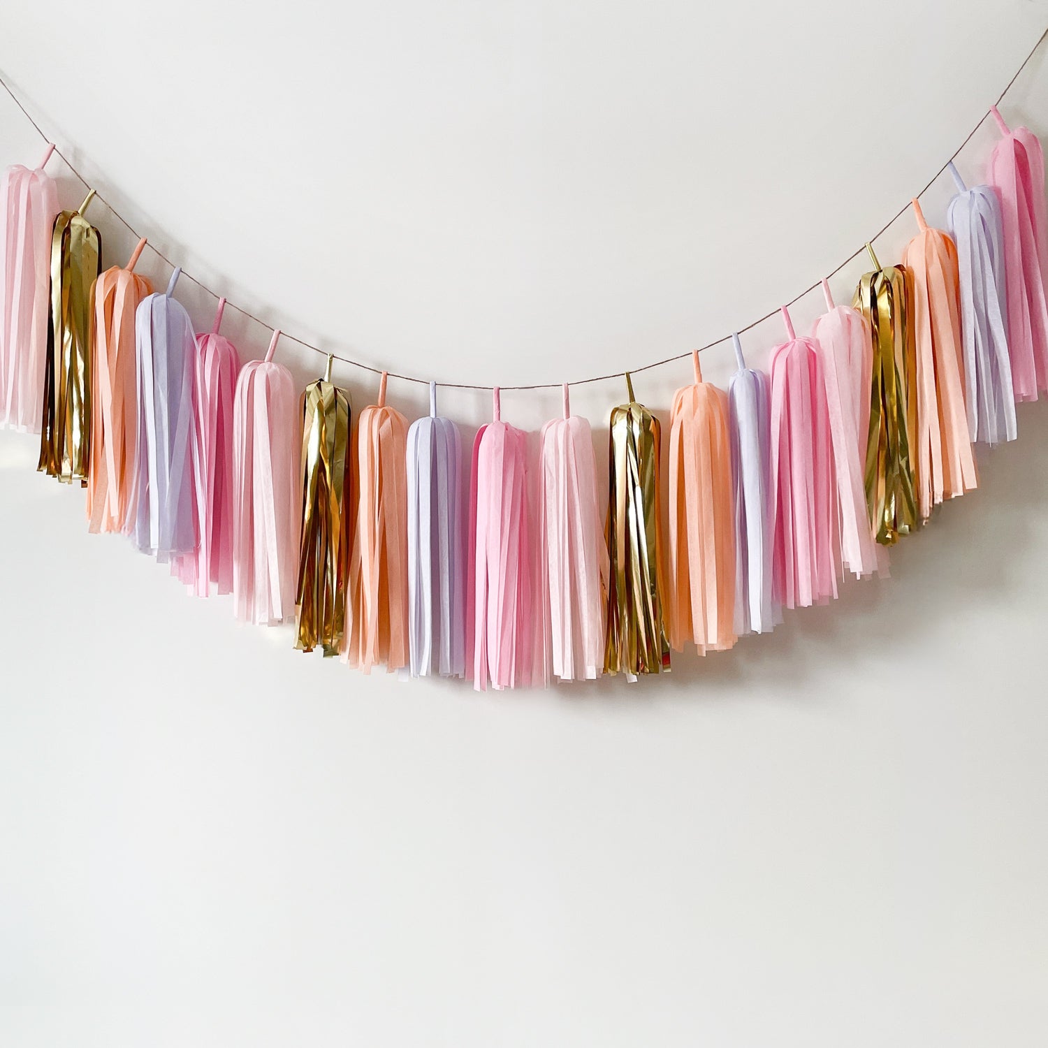 Gold Peach Blush Tassel Garland