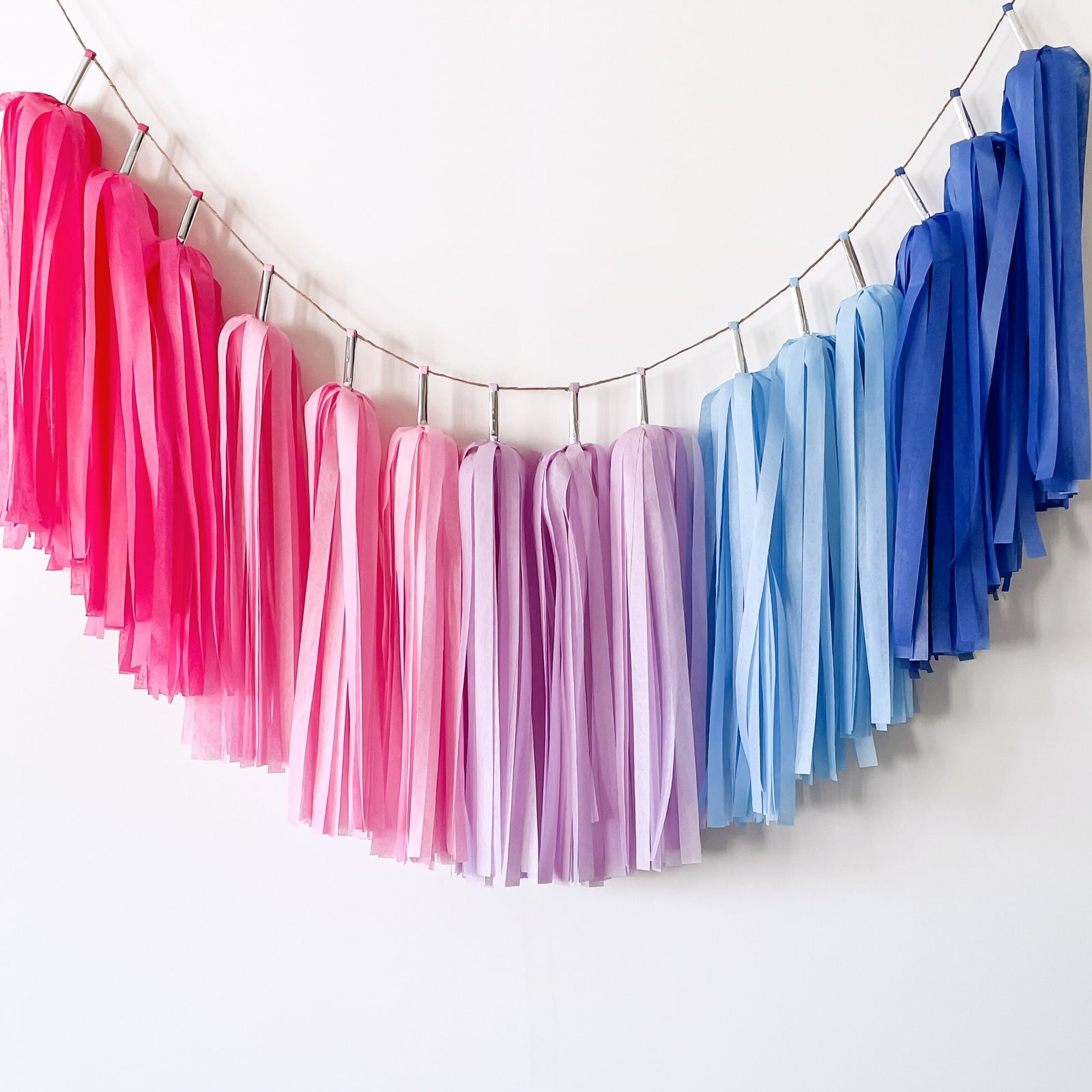 Aloha Galaxy Ombre Tassel Garland