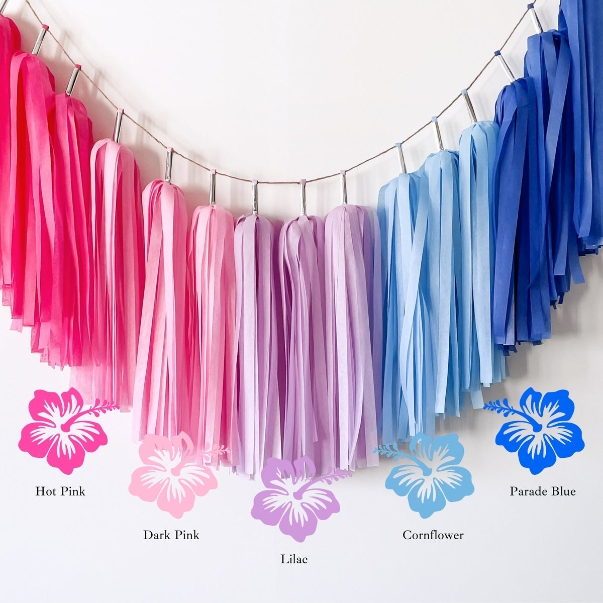 Aloha Galaxy Ombre Tassel Garland