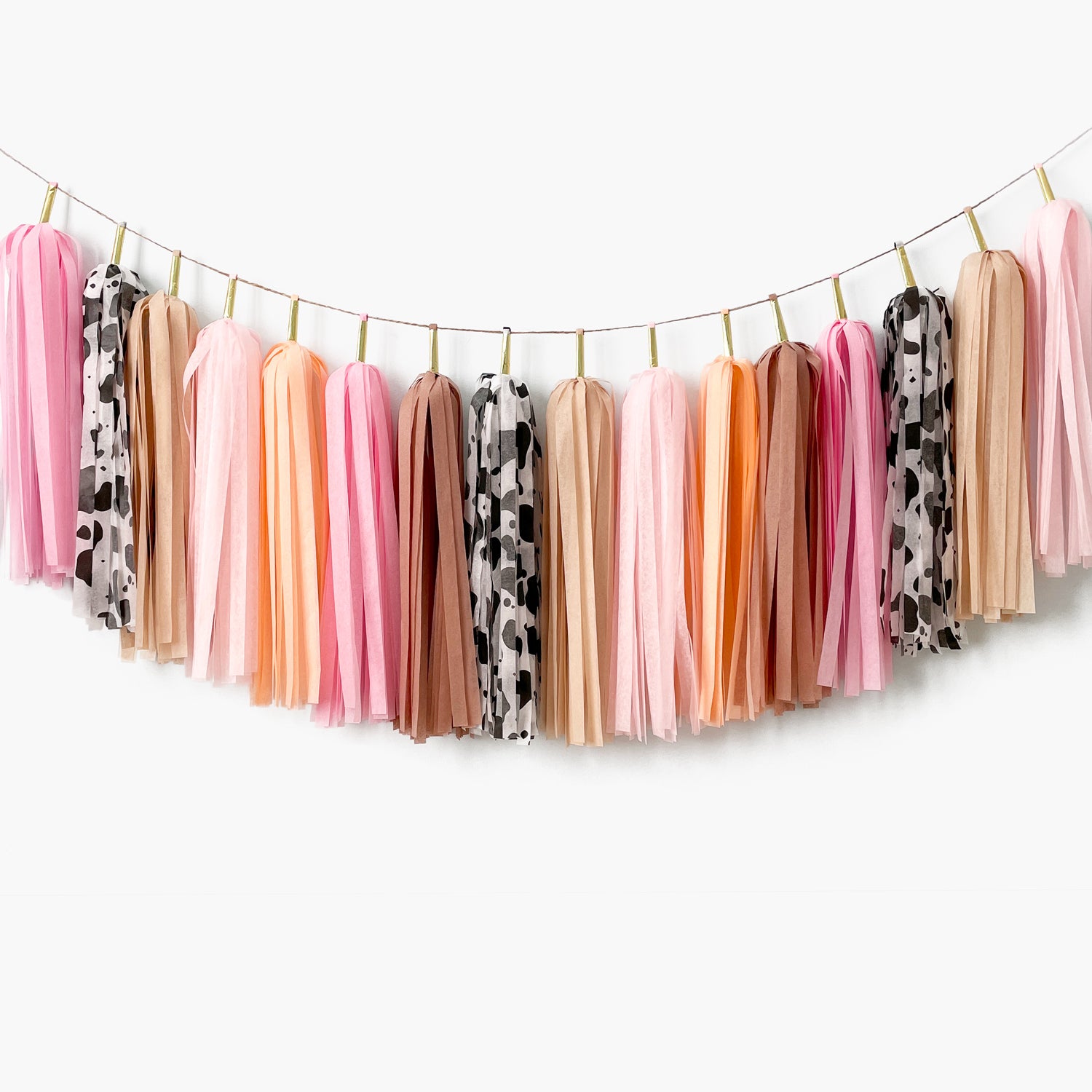 Moo Moo Cowgirl Tassel Garland - Girl Birthday Party - Nash Bash Backdrop - Let's go girl