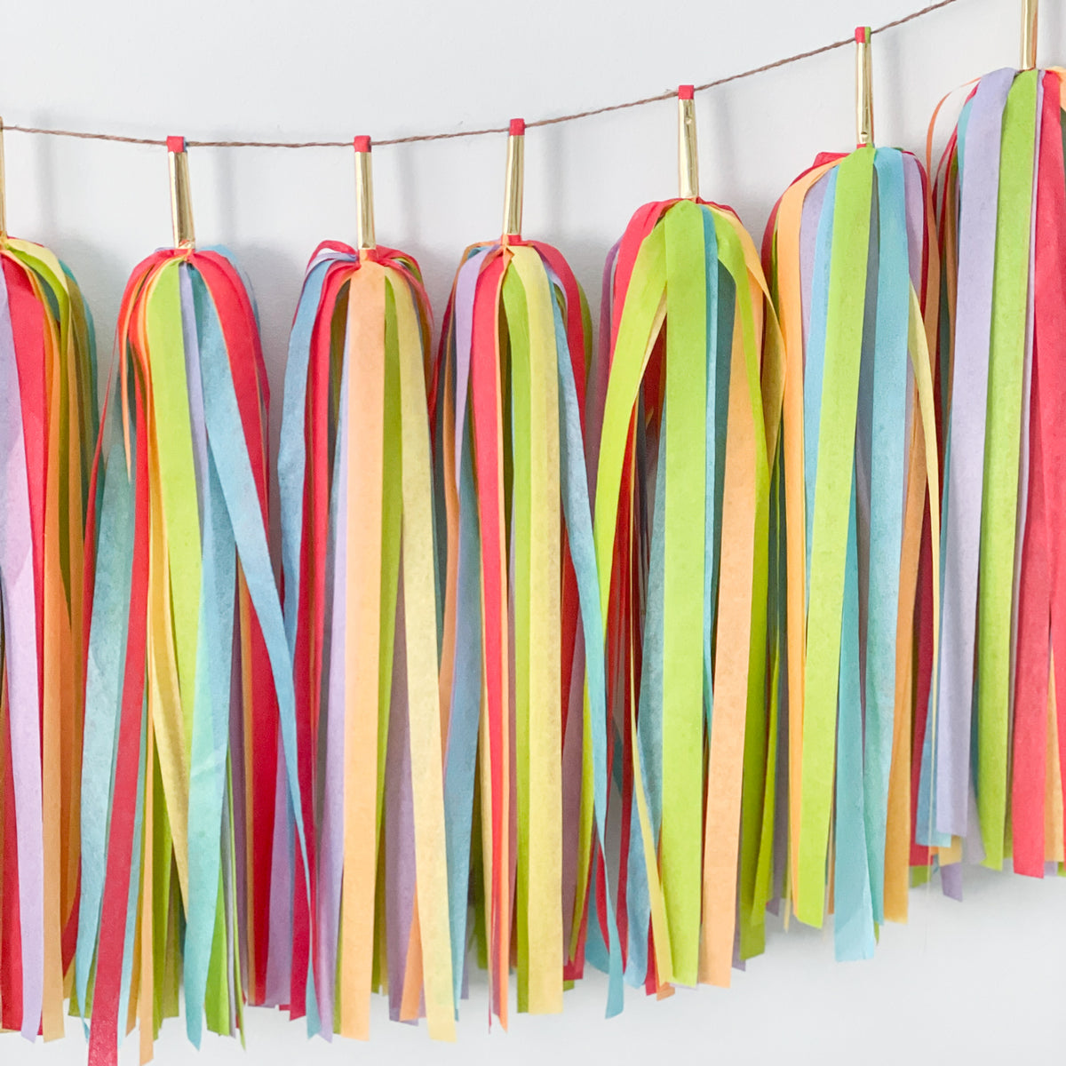 Rainbow Mingle Tassel Garland [Deluxe] - Rainbow Birthday Party - LGBTQ+ Pride Celebrations - Wedding Backdrop - Fiesta - 