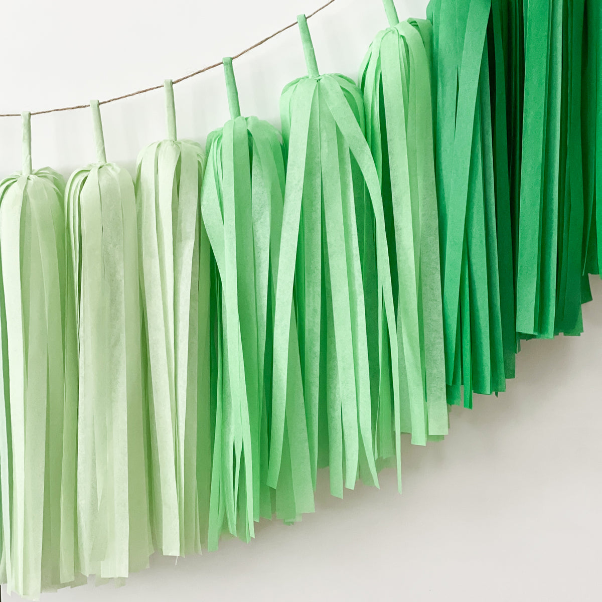 Sea Turtles Tassel Garland