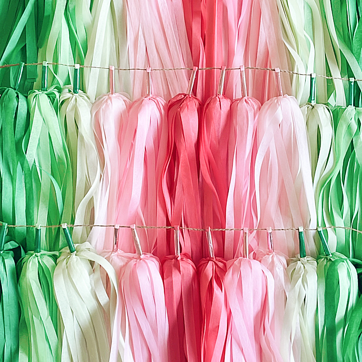 Watermelon Ombre Tassel Garland - Watermelon Party, Summer Fruit Party, One in a Melon First Birthday Decoration