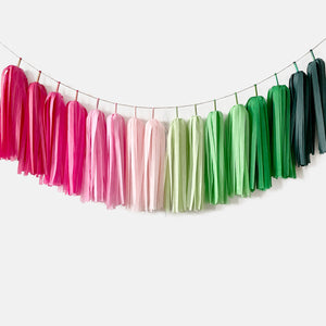 Wicked Tassel Garland