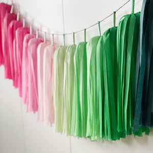 Wicked Tassel Garland