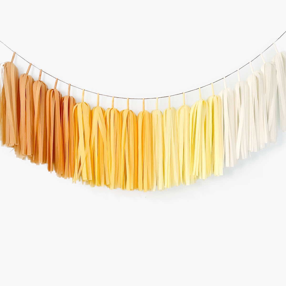 Ombre Yellow Tassel Garland - Boho Sunshine Birthday Backdrop - 1st Trip Around the Sun First BirthdayOmbre Yellow Tassel Garland - Boho Sunshine Birthday Backdrop - 1st Trip Around the Sun First Birthday - Summer Lemon Party