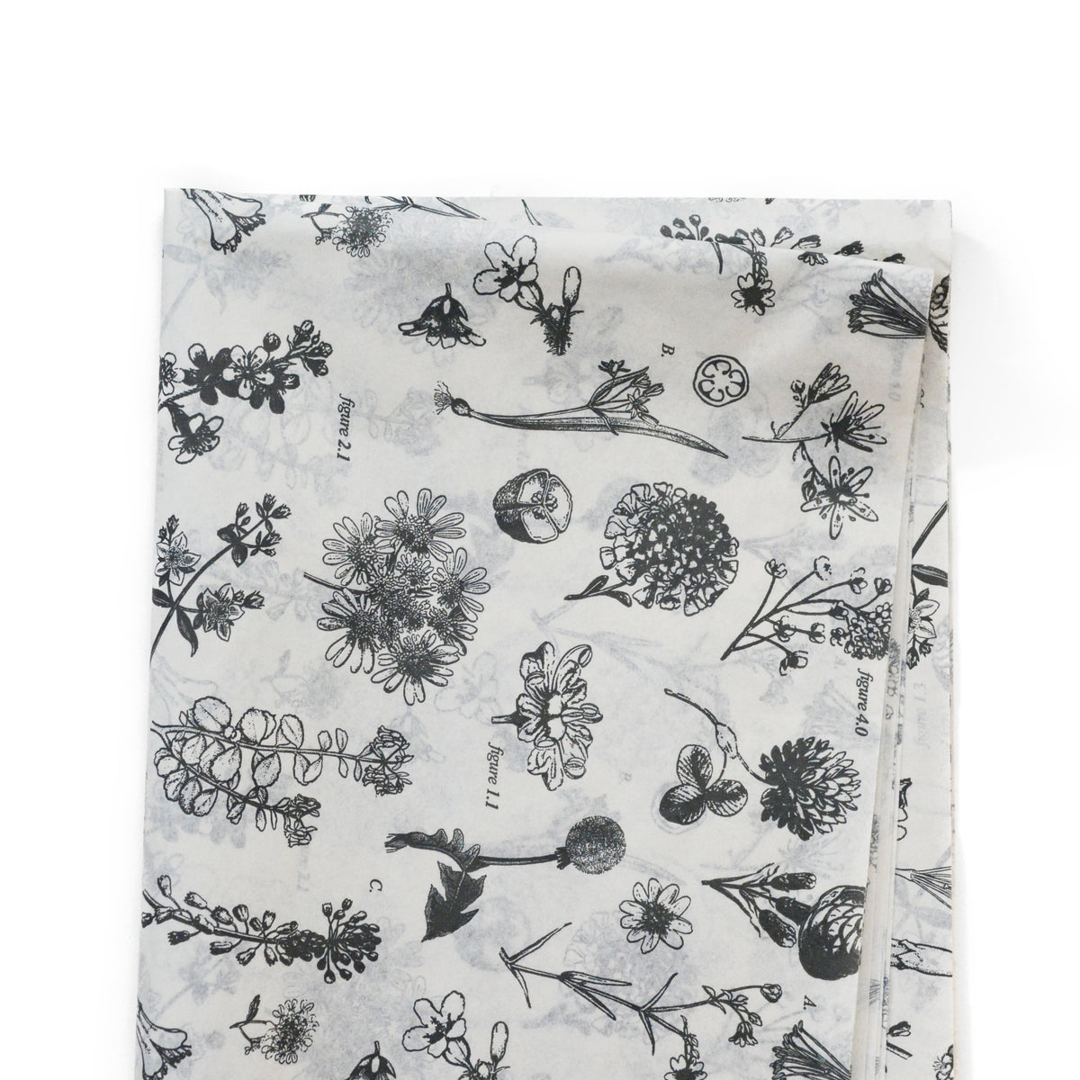 Botanical Illustration Tissue Paper