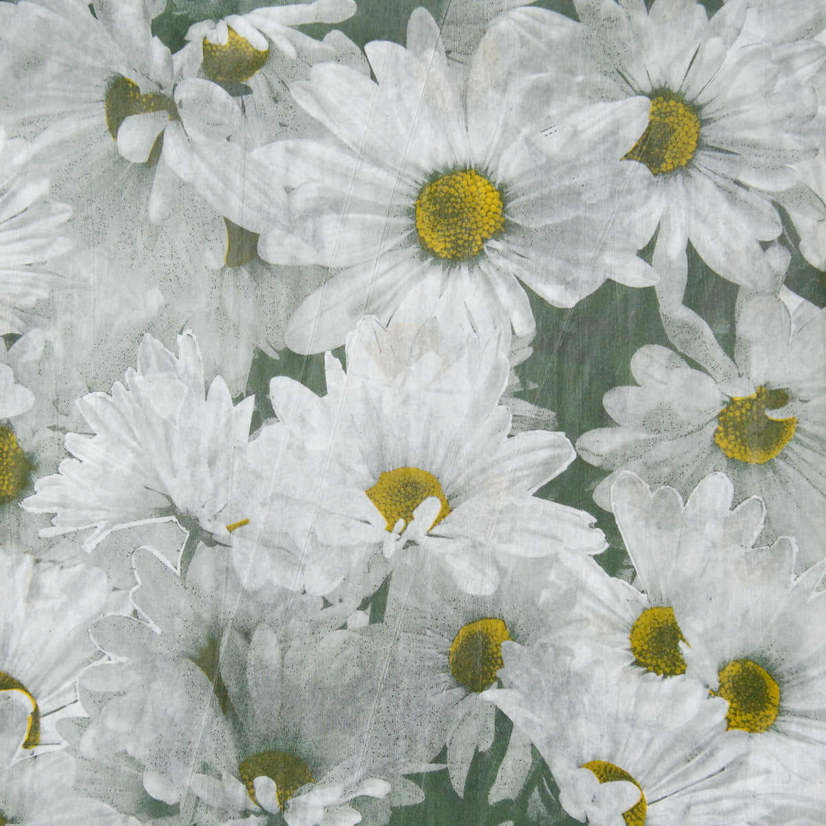 Daisies Tissue Paper - Daisy Pattern Tissue Paper, Christmas Gift Wrapping Wrap Paper, Groovy Daisy Paper, Craft Supplies, Daisy Paper GenWoo Shop