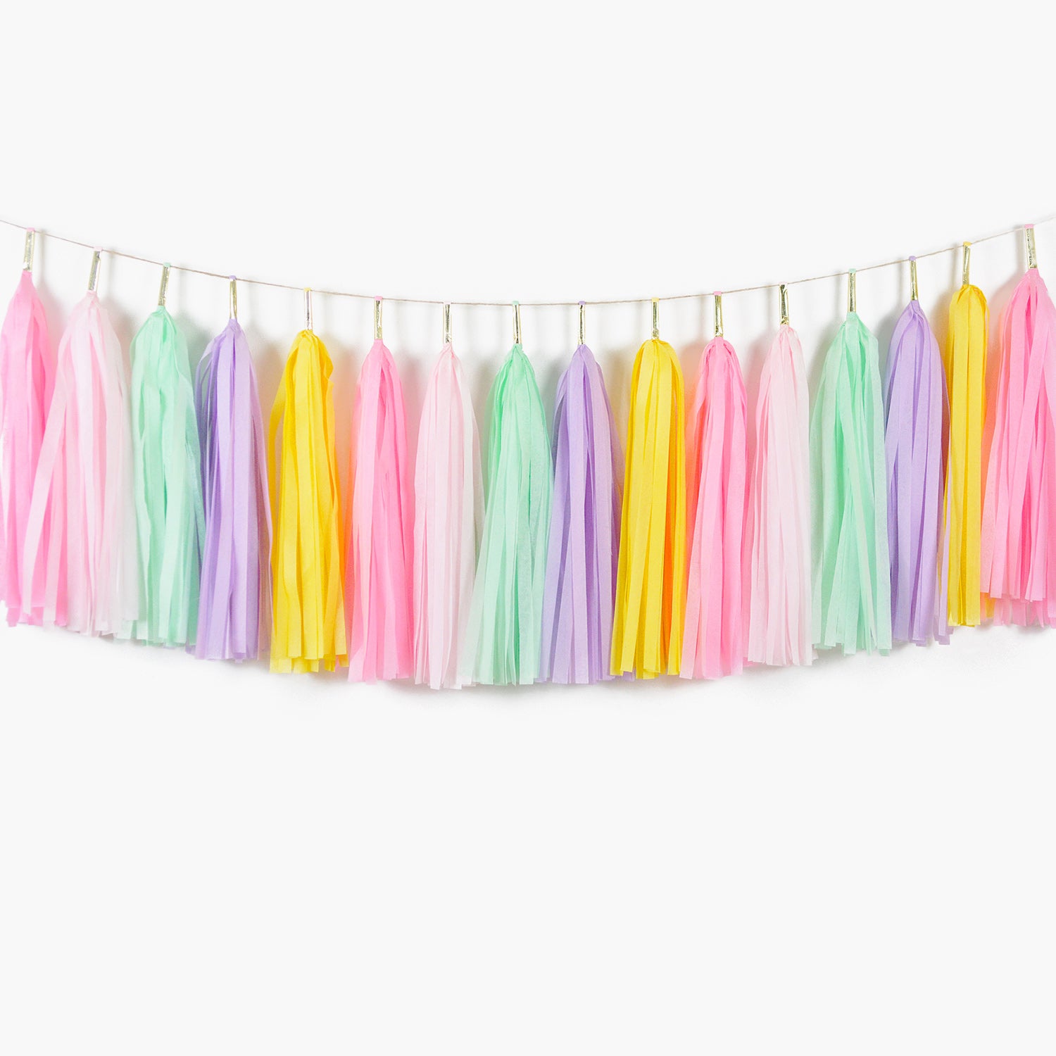 Pastel Princess Tassel Garland - Girls Birthday Party Garland Decorations
