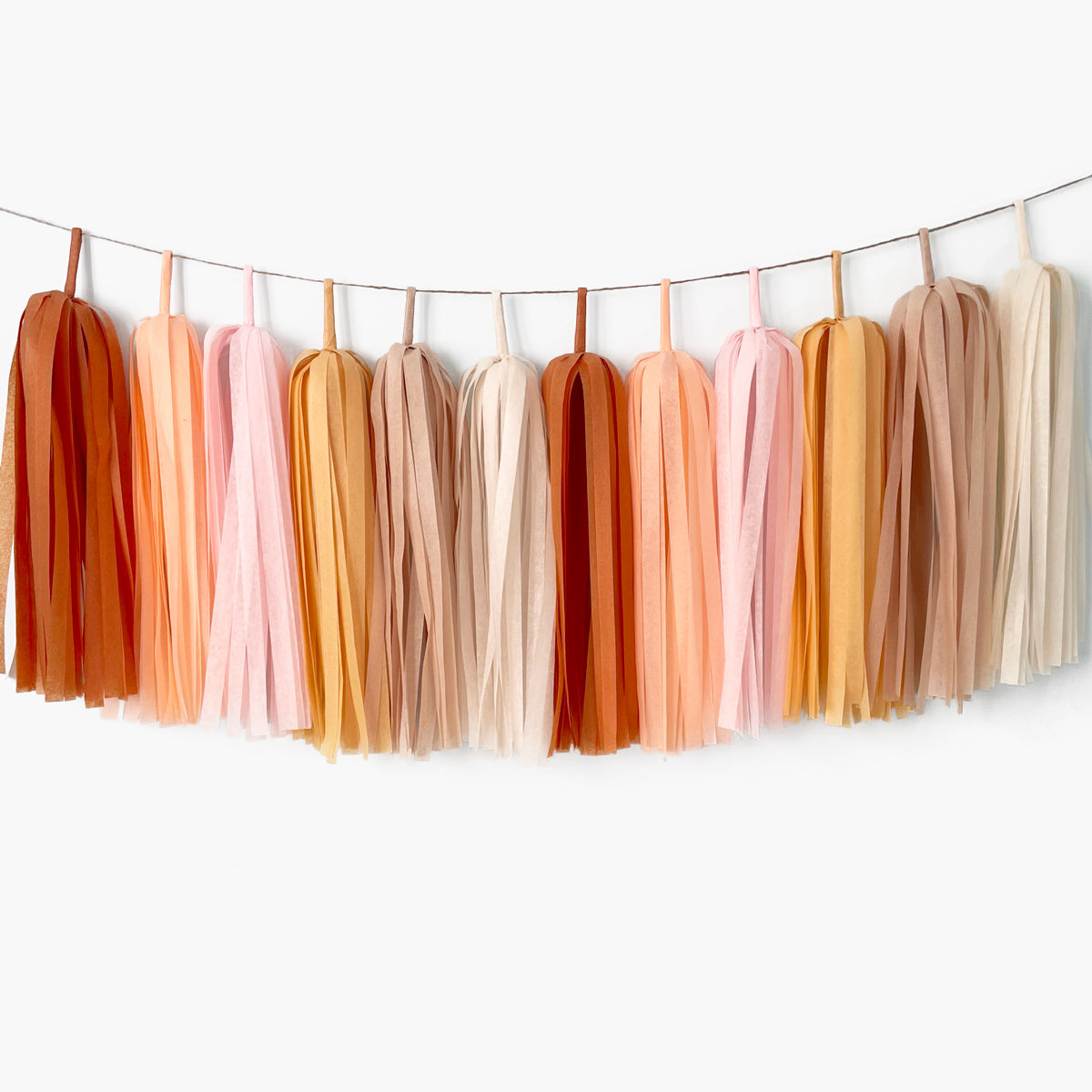 Blush Groovy Tassel Garland - Retro Hippie Bohemian 70s Groovy Birthday Party Decoration