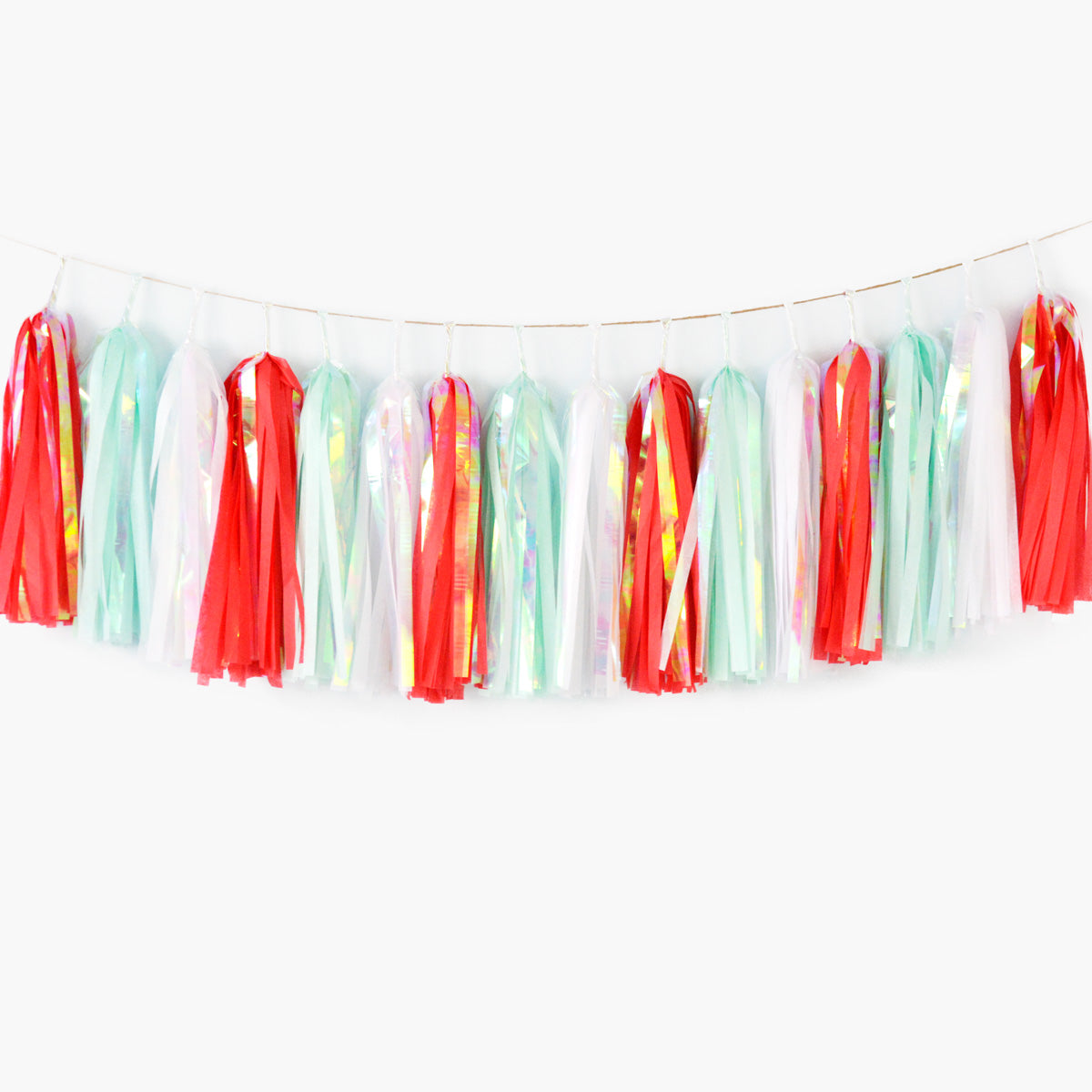 Iridescent Tassel Garland, 10ft