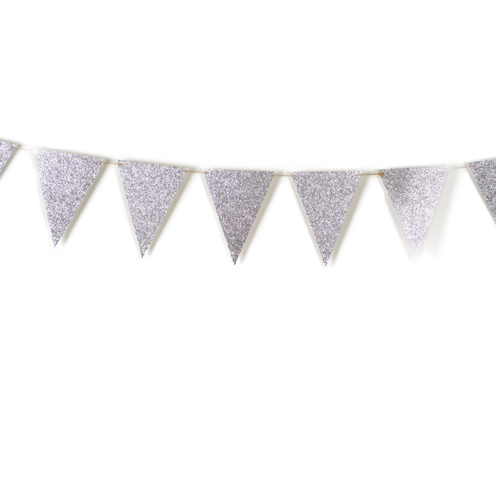 Silver Glitter Pennant Banner