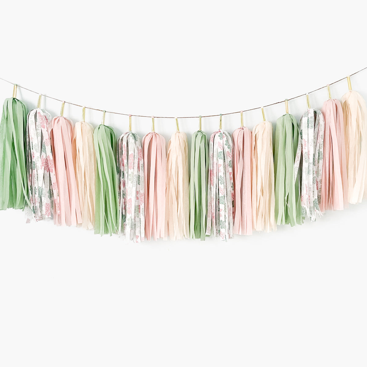 Succulents Tassel Garland - Bohemian Desert Cactus Birthday Party Banner - Boho Hippie Bridal Shower Pale Pink Green Backdrop Decors - Bohemian Baby Shower