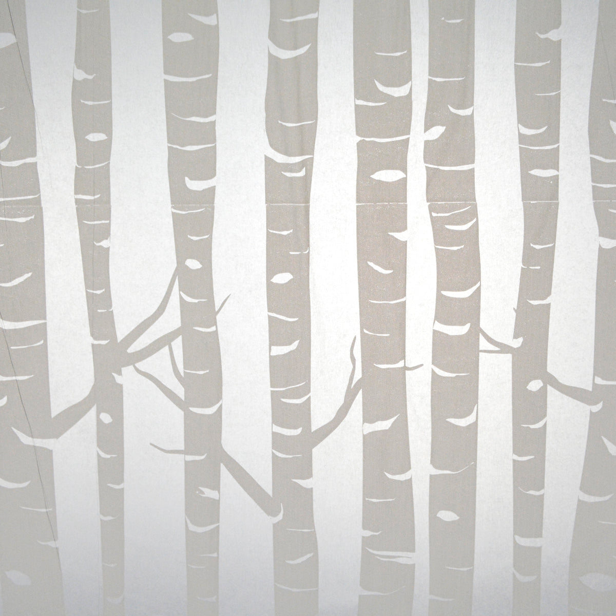 Translucent White Birch Tissue Paper